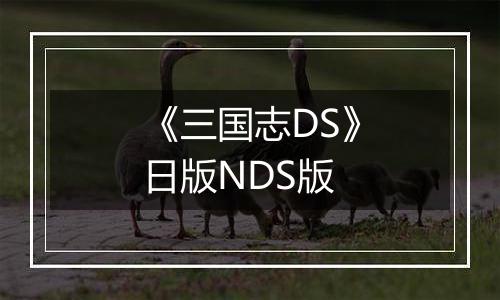 《三国志DS》日版NDS版