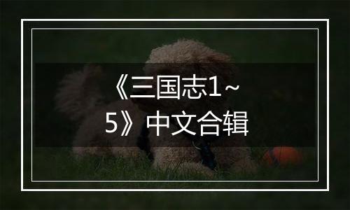 《三国志1~5》中文合辑