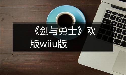 《剑与勇士》欧版wiiu版