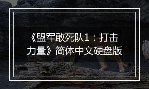 《盟军敢死队1：打击力量》简体中文硬盘版