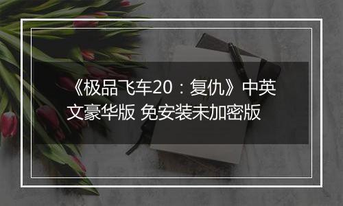《极品飞车20：复仇》中英文豪华版 免安装未加密版
