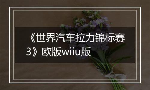 《世界汽车拉力锦标赛3》欧版wiiu版
