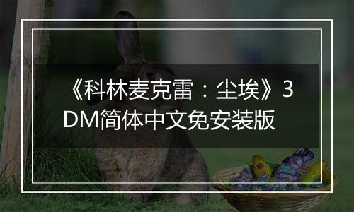 《科林麦克雷：尘埃》3DM简体中文免安装版