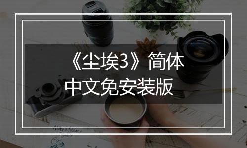 《尘埃3》简体中文免安装版