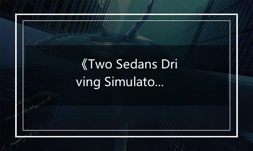 《Two Sedans Driving Simulator》游戏库
