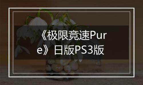 《极限竞速Pure》日版PS3版
