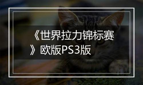 《世界拉力锦标赛》欧版PS3版