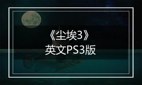 《尘埃3》 英文PS3版