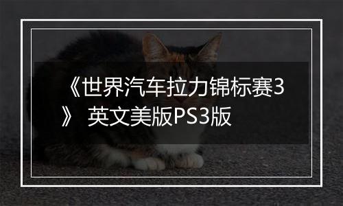 《世界汽车拉力锦标赛3》 英文美版PS3版