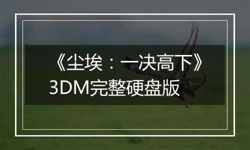 《尘埃：一决高下》3DM完整硬盘版