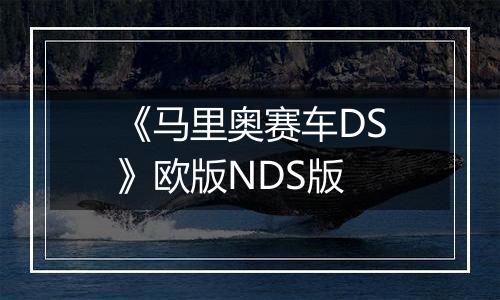 《马里奥赛车DS》欧版NDS版