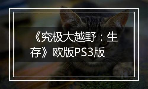 《究极大越野：生存》欧版PS3版