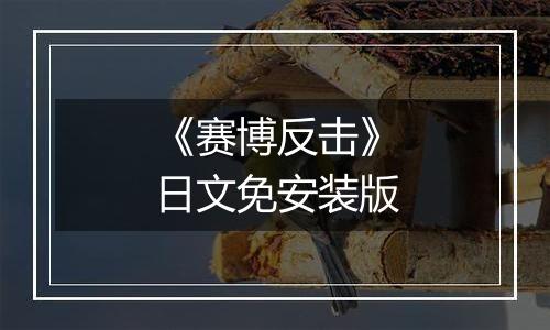 《赛博反击》日文免安装版