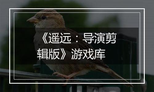 《遥远：导演剪辑版》游戏库