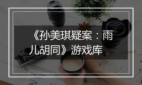 《孙美琪疑案：雨儿胡同》游戏库