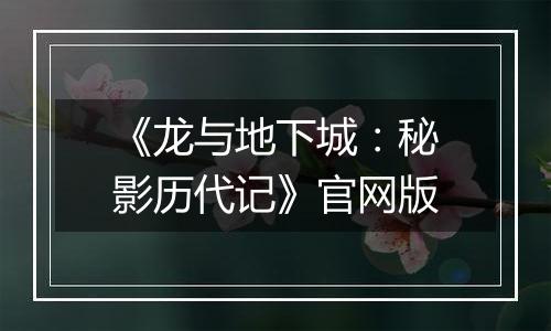 《龙与地下城：秘影历代记》官网版