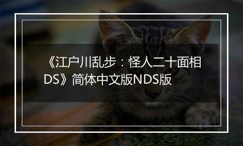 《江户川乱步：怪人二十面相DS》简体中文版NDS版