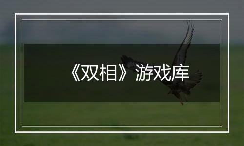 《双相》游戏库