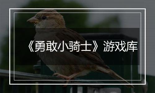《勇敢小骑士》游戏库