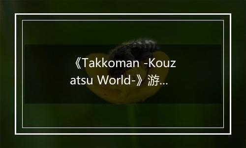 《Takkoman -Kouzatsu World-》游戏库