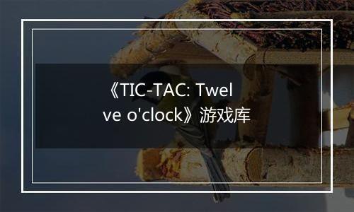 《TIC-TAC: Twelve o'clock》游戏库
