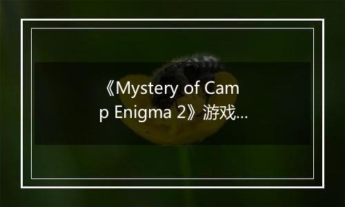 《Mystery of Camp Enigma 2》游戏库