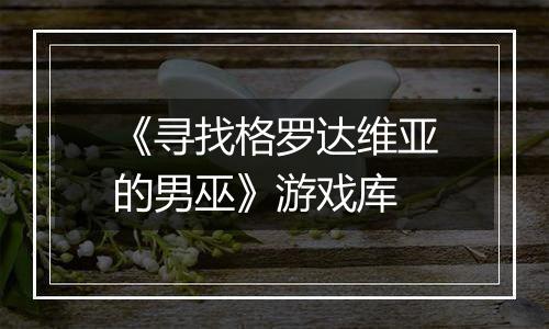 《寻找格罗达维亚的男巫》游戏库