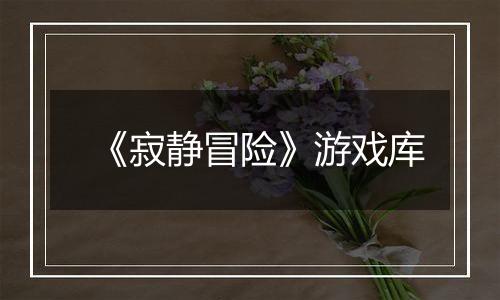 《寂静冒险》游戏库