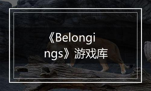 《Belongings》游戏库