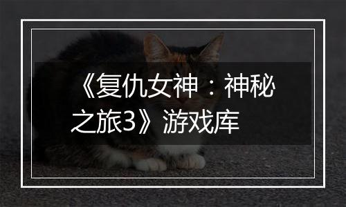 《复仇女神：神秘之旅3》游戏库