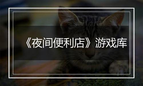 《夜间便利店》游戏库