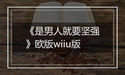 《是男人就要坚强》欧版wiiu版