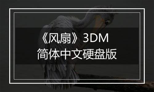 《风扇》3DM简体中文硬盘版