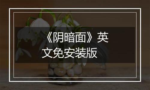 《阴暗面》英文免安装版