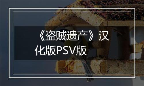 《盗贼遗产》汉化版PSV版