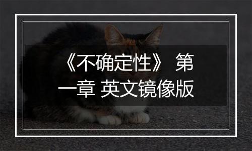 《不确定性》 第一章 英文镜像版