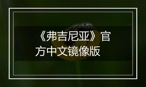 《弗吉尼亚》官方中文镜像版