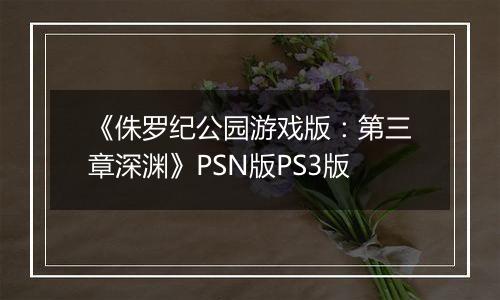 《侏罗纪公园游戏版：第三章深渊》PSN版PS3版