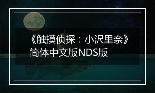 《触摸侦探：小沢里奈》 简体中文版NDS版