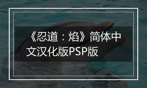《忍道：焰》简体中文汉化版PSP版