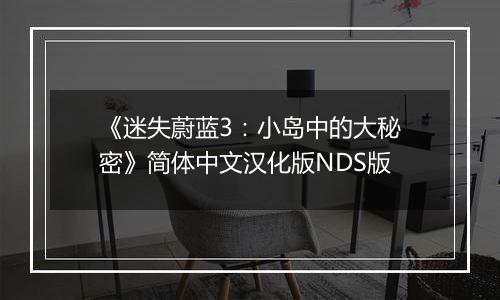 《迷失蔚蓝3：小岛中的大秘密》简体中文汉化版NDS版