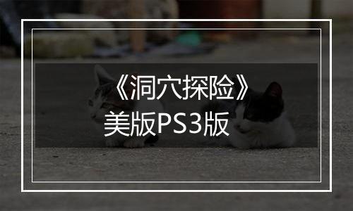《洞穴探险》美版PS3版