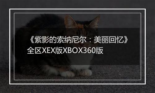 《紫影的索纳尼尔：美丽回忆》全区XEX版XBOX360版