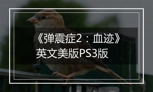 《弹震症2:血迹》 英文美版PS3版
