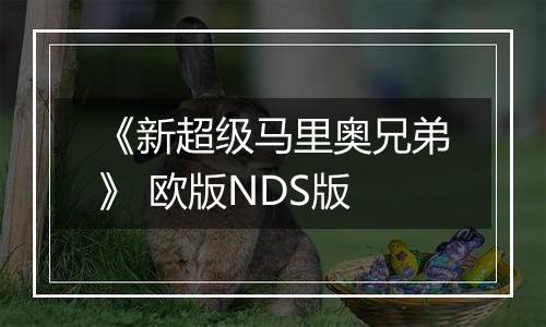 《新超级马里奥兄弟》 欧版NDS版