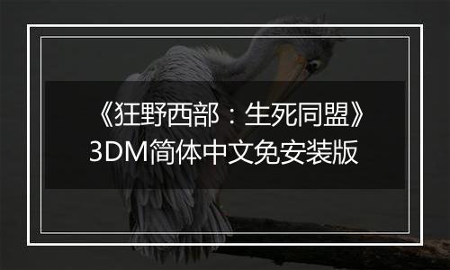 《狂野西部：生死同盟》3DM简体中文免安装版