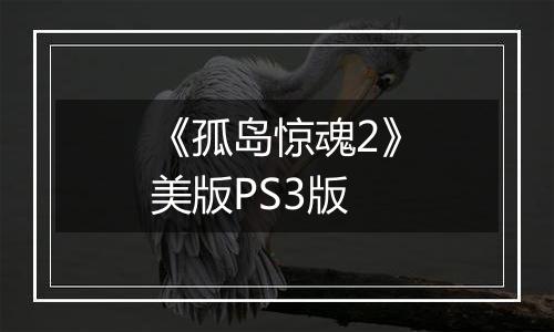 《孤岛惊魂2》美版PS3版