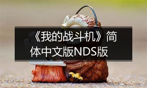 《我的战斗机》简体中文版NDS版