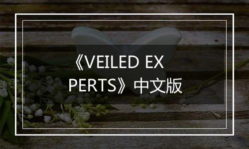 《VEILED EXPERTS》中文版