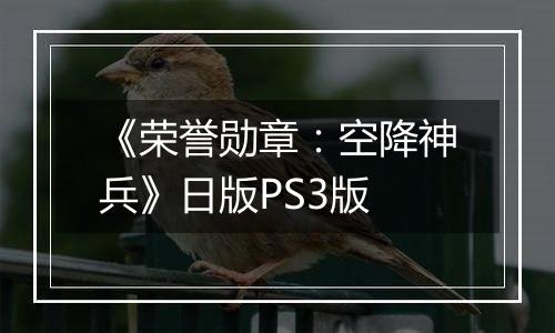 《荣誉勋章：空降神兵》日版PS3版